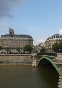 Les plus beaux ponts de Paris  
